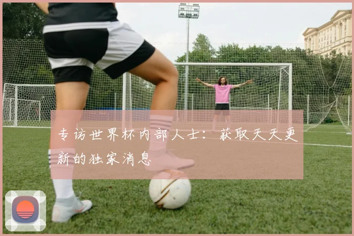专访世界杯内部人士：获取天天更新的独家消息