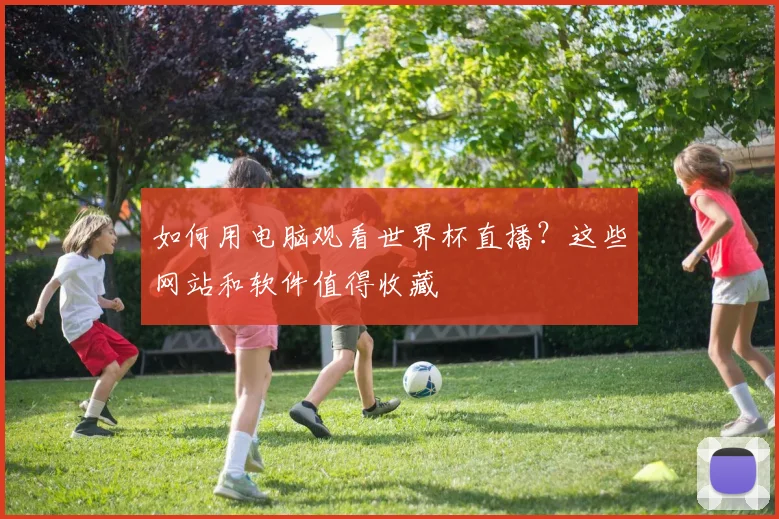 如何用电脑观看世界杯直播?这些网站和软件值得收藏
