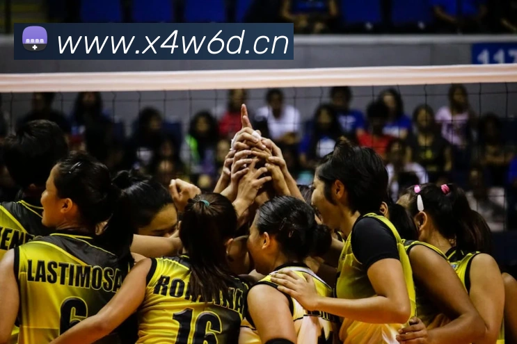 App Interface Preview